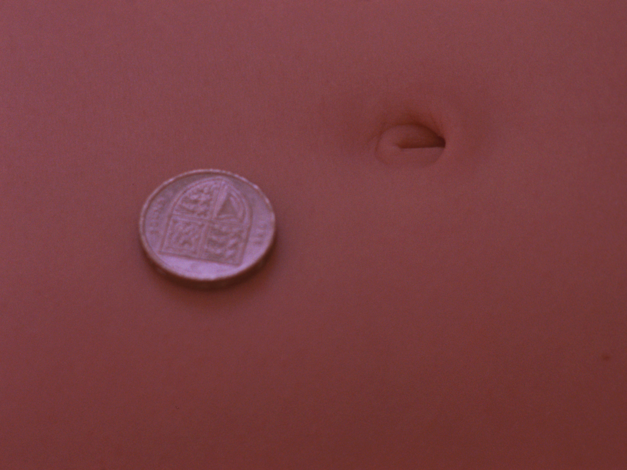Film still: coin and bellybutton