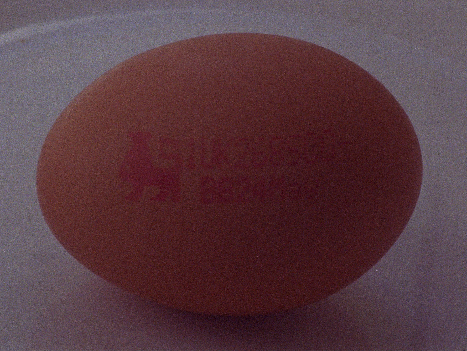 16mm film still: a closeup on an egg bought in a supermarket, printed with a date and a logo